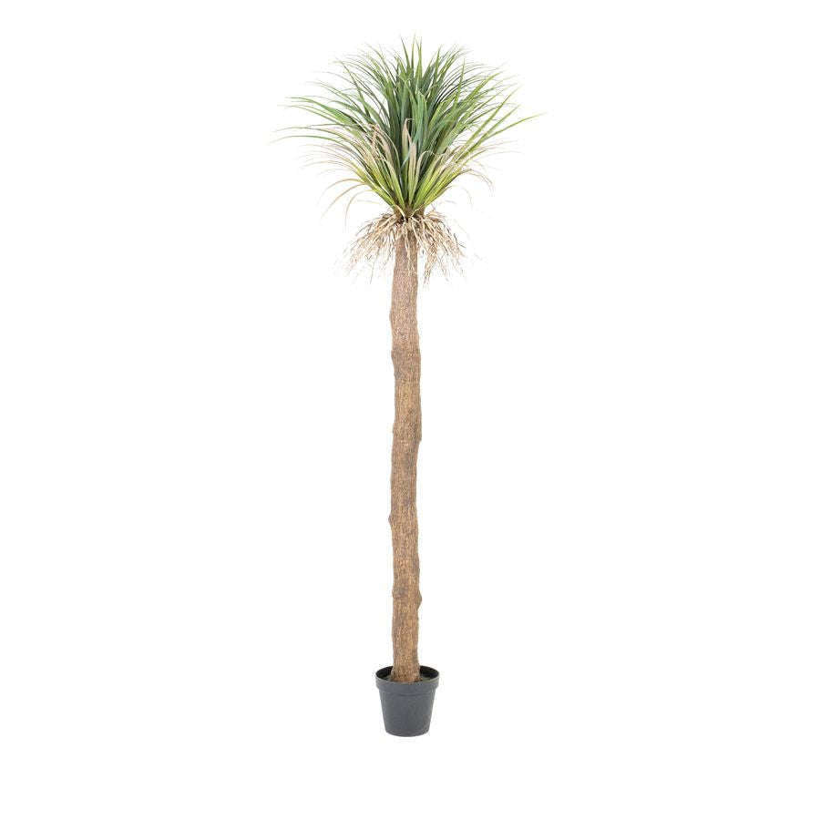 By-Boo Wild Yucca tree kunstplant L