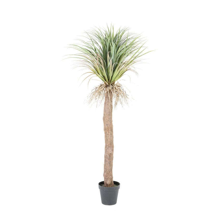 By-Boo Wild Yucca tree kunstplant M