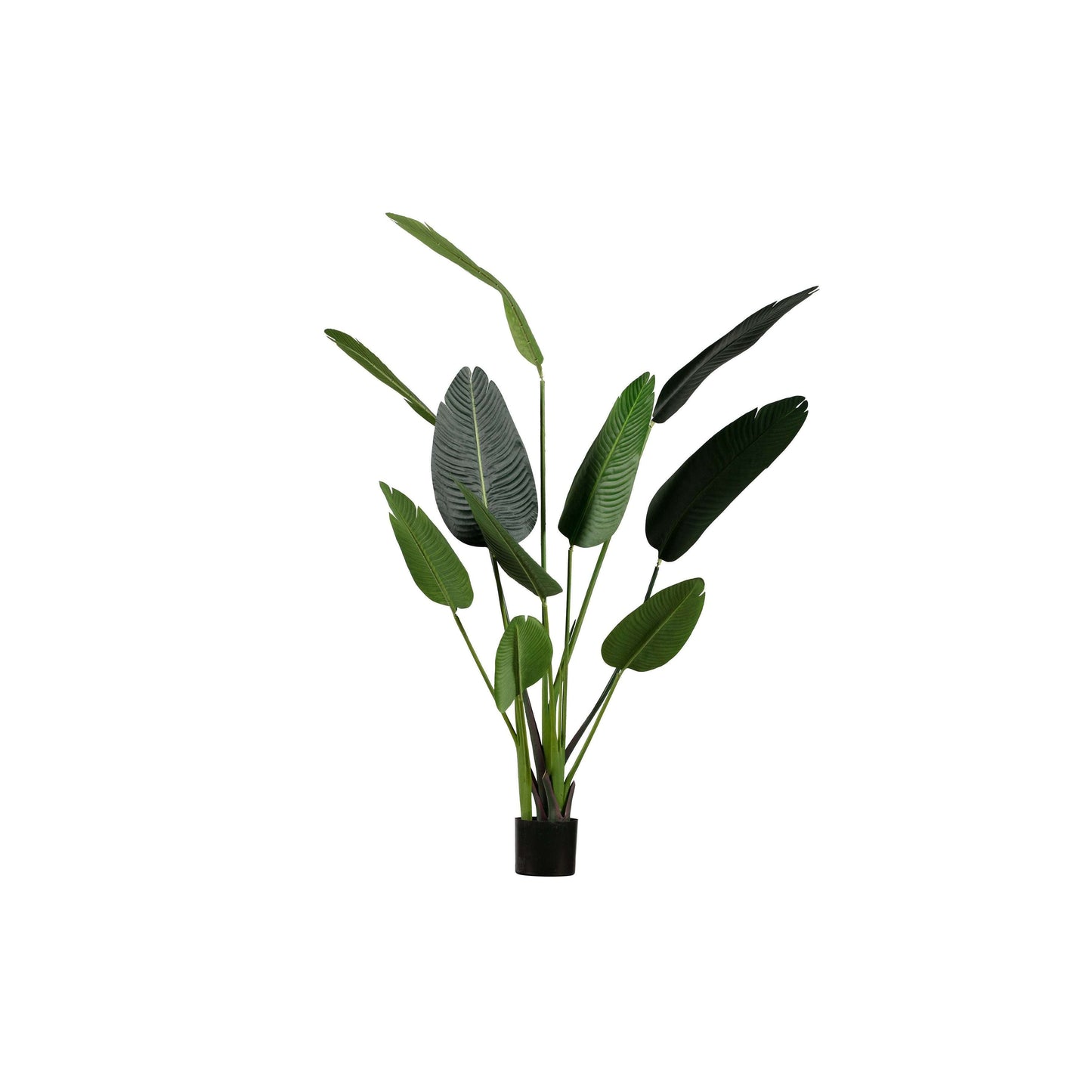 WOOOD Strelitzia kunstplant groen